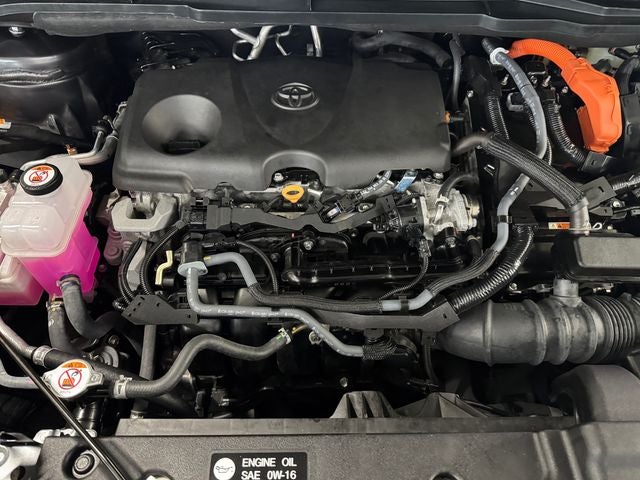 2025 Toyota Sienna XLE 7 Passenger