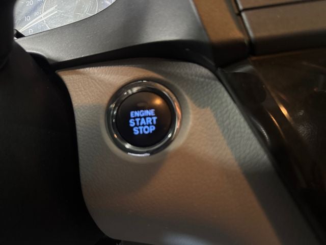 2019 Toyota Sienna XLE 8 Passenger