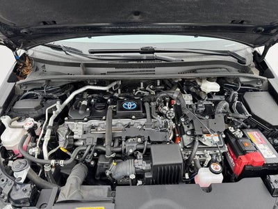 2023 Toyota Corolla Hybrid XLE