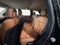 2015 Jeep Grand Cherokee Summit 5.7 Liter V8 4WD